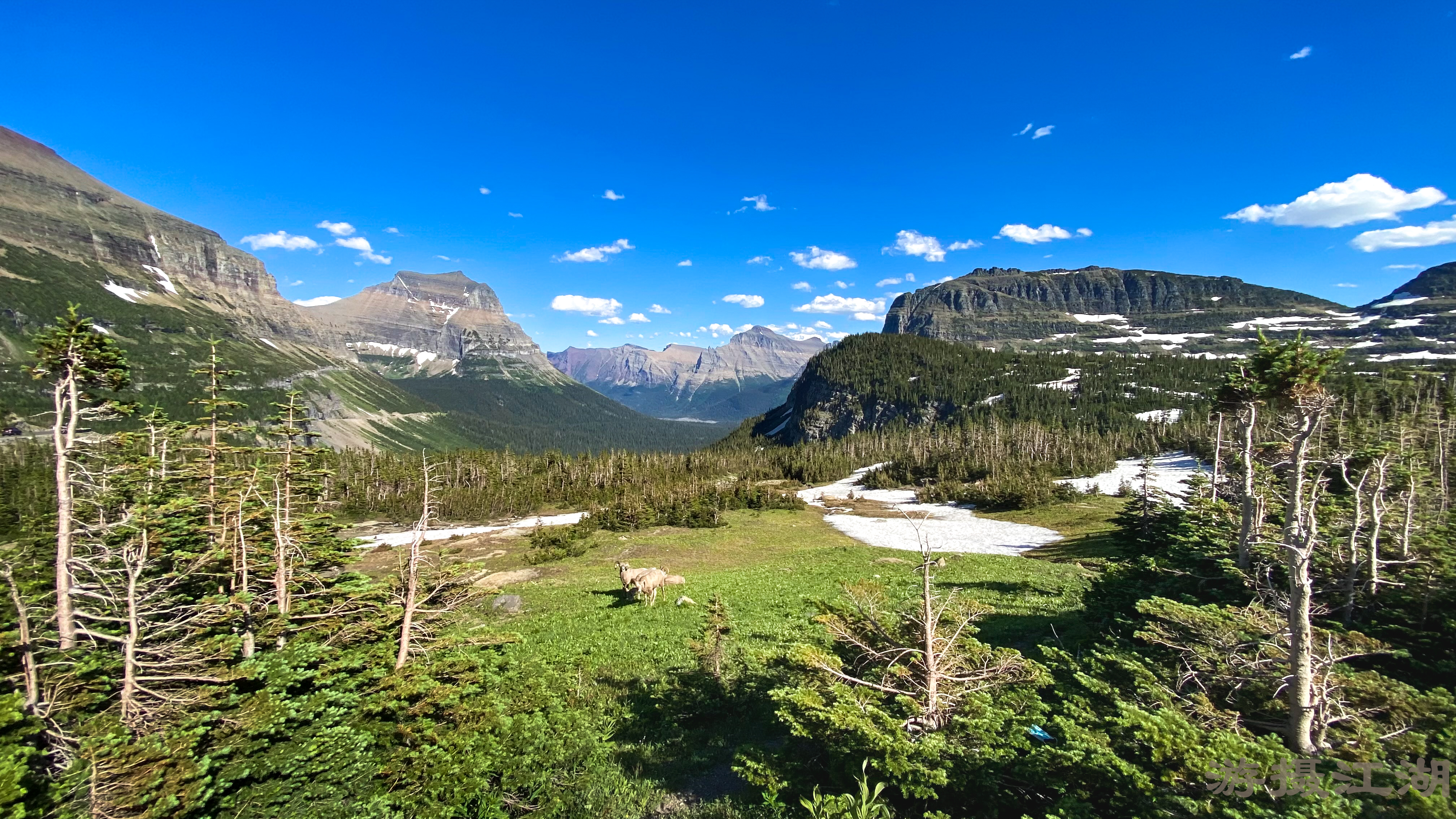 消暑摄影两相宜——从大提顿到冰川国家公园« 新鲜——游摄江湖